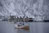 Fiskebåt i Lofoten